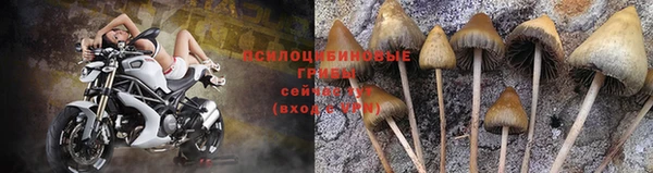 ГАЛЛЮЦИНОГЕННЫЕ ГРИБЫ Навашино
