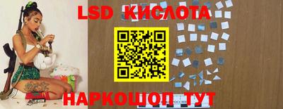 apvp Камышлов