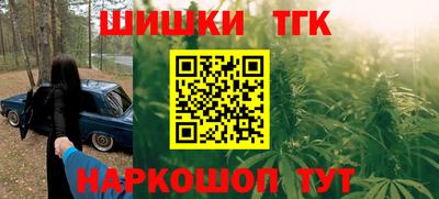 apvp Камышлов