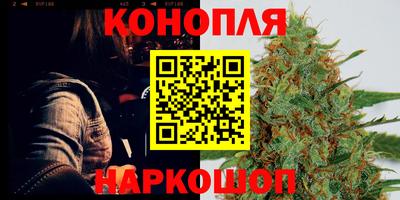 apvp Камышлов